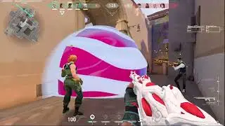 half of 5v5vs den