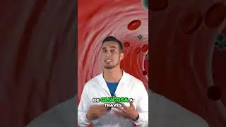 &iquest;Por qu&eacute; la DIABETES causa SEQUEDAD en la boca?