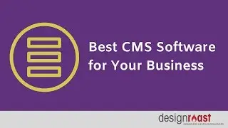 Best CMS Software for Your Business