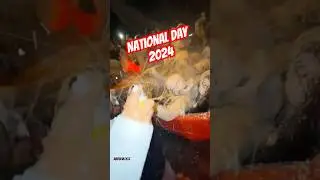 Dubai national day celebration 2024 #dubai #uae #uaedubai #nationalday #celebration #abdulvlogs