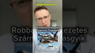 #brainrot #hungarian #magyar #humor #viral #p&aacute;lpeti