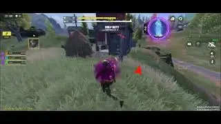Calm clips. 