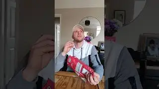 That One Fly In The House