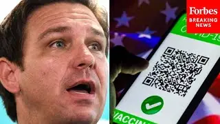 'I'm Offended': DeSantis Lambasts Vaccine Passports