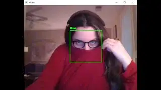 Computer Vision: Mask Detection Using Python & OpenCV