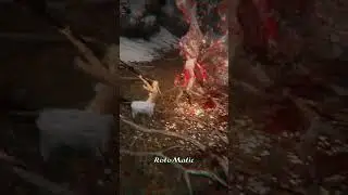 Elden Ring - Bullying Malenia For 30 Seconds Straight