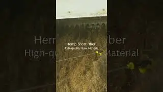 Hemp Short Fiber #hempfortex #hemp #fiber #fabric #hempfabric #HempShortFiber #VerticalHempSupply