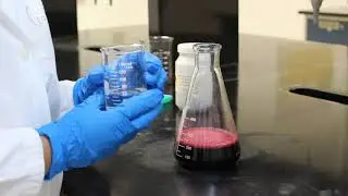 REACCI&Oacute;N EXOT&Eacute;RMICA DEL PERMANGANATO DE POTASIO