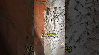 Los Arquitectos e Ingenieros cobran muy Caro #arquiluisangel #viral #construccion #alba&ntilde;il #arqui