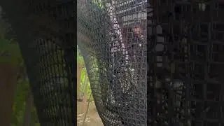 వలలో పాప#telugu #fun #treehouse #enjoy #playtime #crazy #adventure #challenge #shorts #viral #video