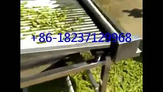 automatic green soybean pigeon peas sheller machine bean shelling machine