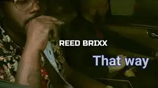 REED BRIXX  