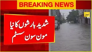 Strong monsoon system predicted in Punjab this week | Breaking news