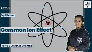 Common Ion Effect | Class 11 Chemistry | Equilibrium
