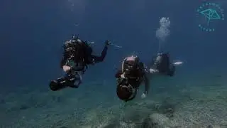 Scooter Suex (MACARONESIAN DIVERS)