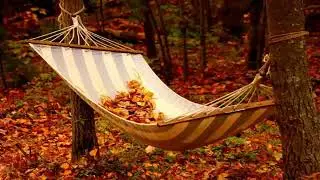 sleeping music for deep sleeping
