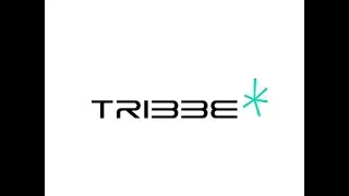 TRIBBE PTE LTD: Illuminating Experience
