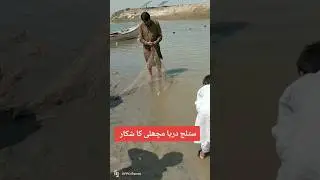 fishing sutluje fish hunter in pakistan #fishing #youtubeshorts