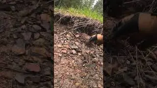MASSIVE MOUNTAIN BIKE CRASH ON THE SANTA CRUZ V10 #mtb #BIKECRASH #mountainbiking