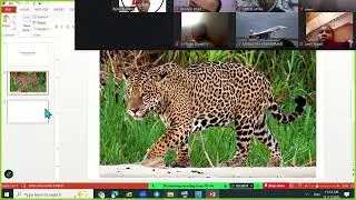 Создать фильм из PowerPoint