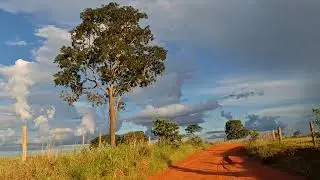 Uma tarde incrível no Campo.