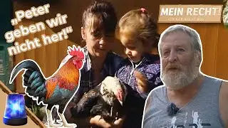 L&Auml;RMBEL&Auml;STIGUNG durch HAHN Peter?🐓 Am Gartenzaun eskaliert es! | Mein Recht! Ich geb nicht auf | ATV