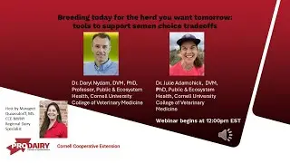 Boots in the Barn: Research Updates Cornell.  Breeding today for the herd you want tomorrow.