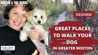 Great Places to walk your dog in Greater BOSTON-Dedham Trail