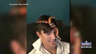 &ldquo;He is an escape artist&rdquo;: Woman claims to be adopted snake&rsquo;s original owner