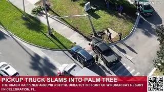 Pickup Truck Slams Into Palm Tree in Celebration, Florida | Celebration Blvd Shut Down 🚨