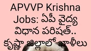 APVVP Krishna Recruitment 2022 Out &ndash; 24 Vacancies Available! 10th, 12th, Degree Apply