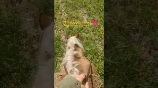 Do one thing a day that makes you happy #happyplace #offgrid #offgridfarm #bte #riding #horse #goat