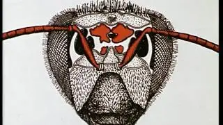 Das R&uuml;sselreflexverhalten der Bienen