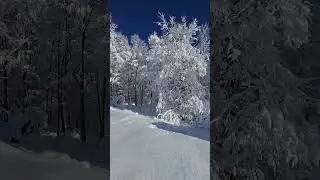 Yok B&ouml;yle G&uuml;zellik #snow #winter#doğa# akkuş#travel #music #frozen
