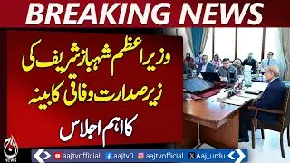 PM Shehbaz Sharif | Federal Cabinet Meeting | Key Government Decisions - Aaj news Breaking