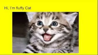 The Cat Cartoon Series S1 E1