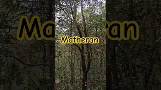 #matheran #maharashtra #2025 #october #oneplus #nord5 #youtubeshorts #mumbai #india