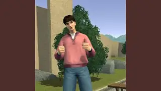 Default skin