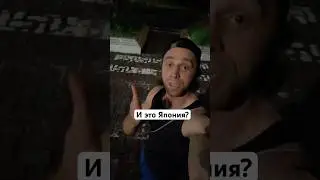 Япония и Россия. Дорожные технологии
