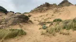 The desert lunchtime guided meditation - root chakra (tigers eye)
