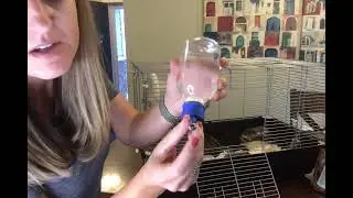 Choco Nose Patented Mini No-Drip Water Bottle (for pets & hamsters)- REVIEW- doesn't leak or drip!