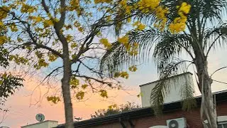 Misi&oacute;n Keryx&rsquo;s