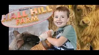Hall Hill Farm | Animal adventure