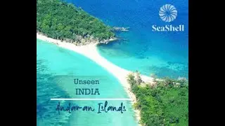 Best Beach Resort in Havelock - SeaShell Havelock in Andaman Islands