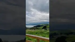 #love#nz