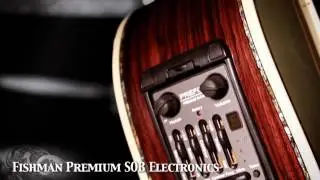 MR1200 Boutique Acoustic Guitar by Cort Guitars