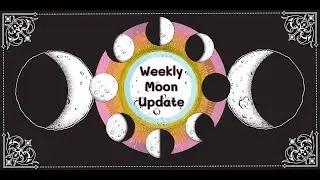 Weekly Moon Update for January 16th - 22nd 2023