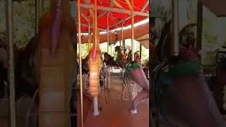 phoenix zoo