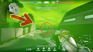 VIPER BUG (BREEZE)