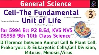 #3 Difference between Animal& Plant Cell Science 5994 Ett P2 Master Cadre KVS DSSSB NVS 9th10th